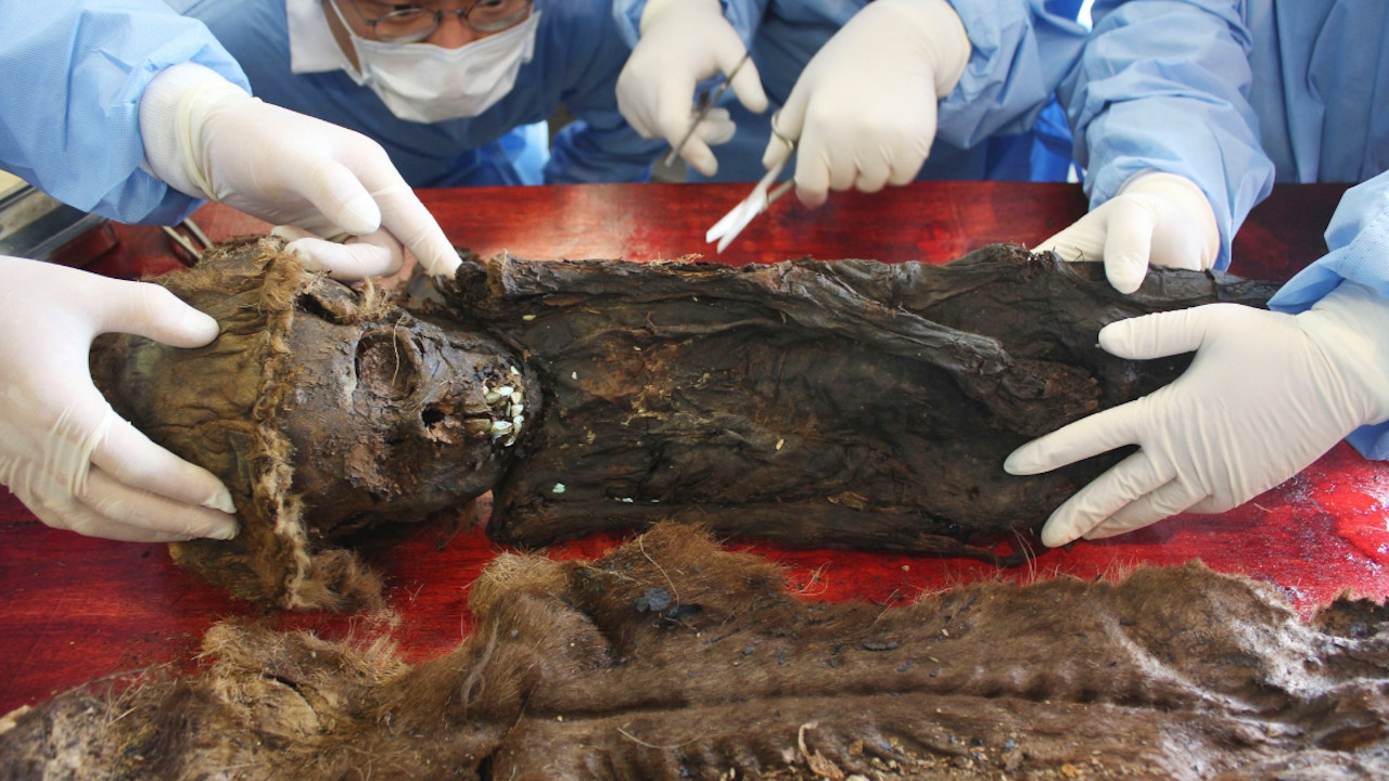 Criança mumificada de 800 anos instiga pesquisadores sul-coreanos