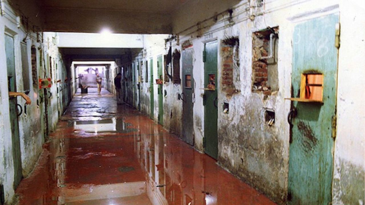 5 livros para entender a realidade do sistema carcerário no Brasil