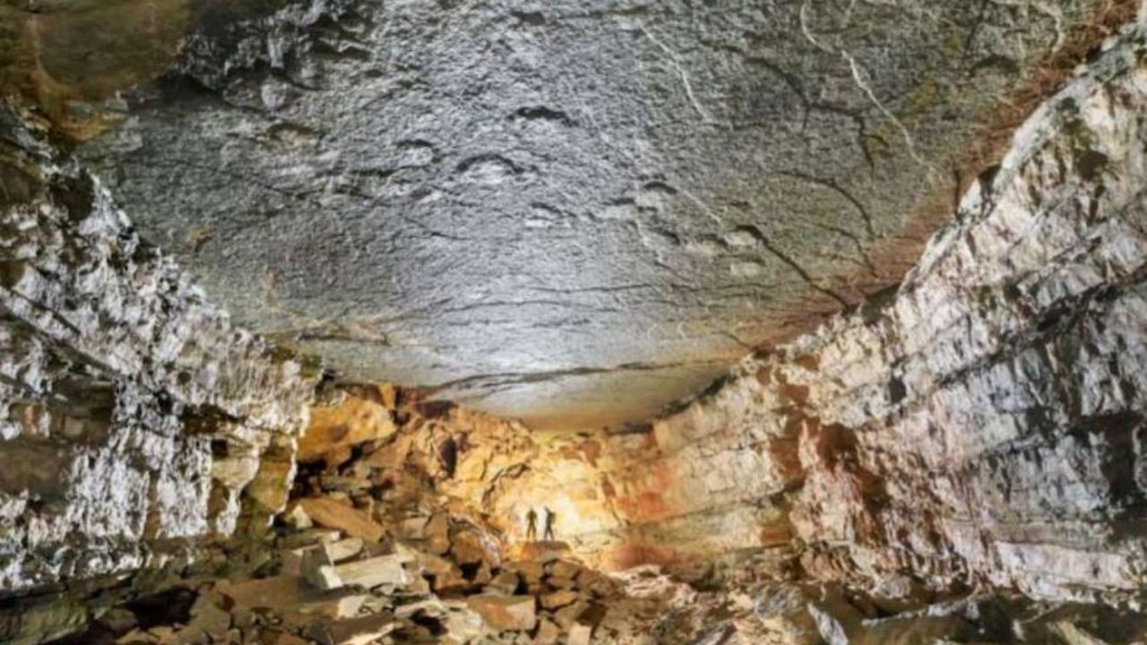 Cientistas descobrem pegadas de dinossauro em teto de caverna na França