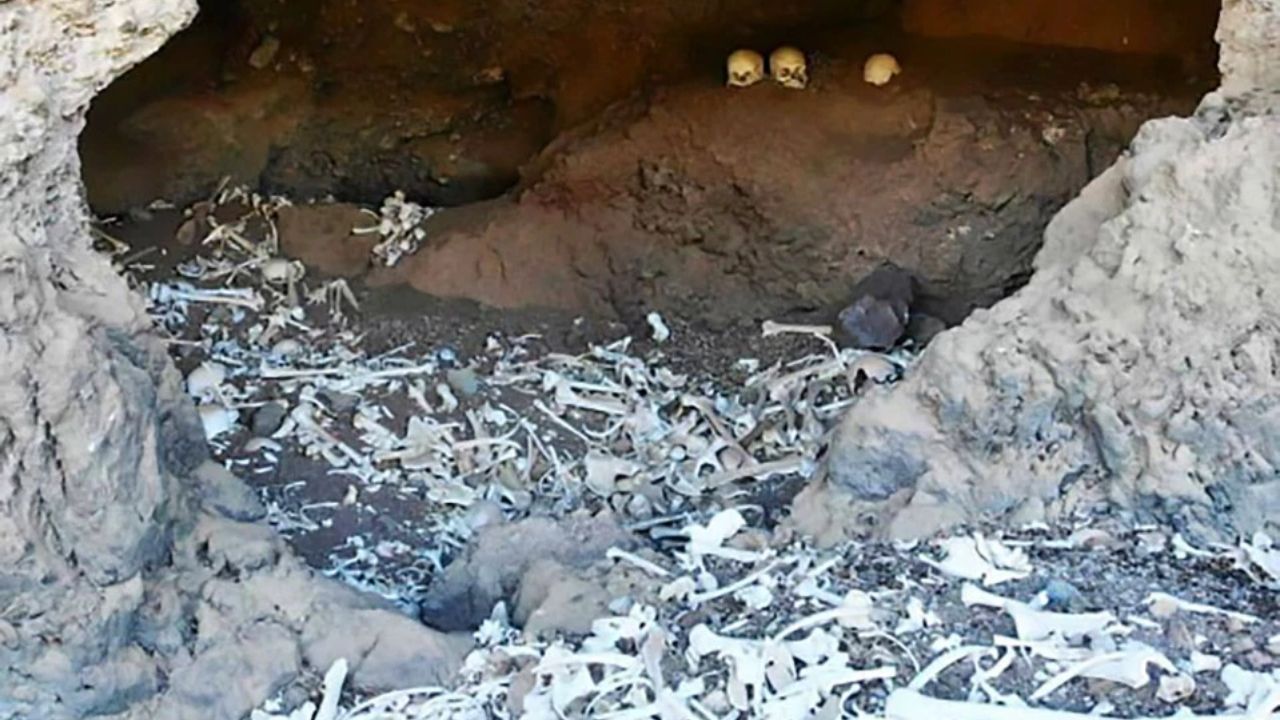 Tumba perdida com 72 esqueletos de extinta civilização das Ilhas Canárias é encontrada após 1.000 anos. Confira imagens!