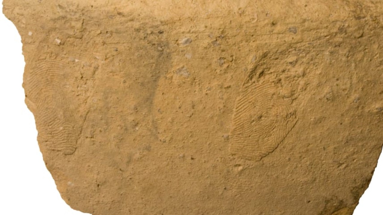 Impressões digitais de 4.700 anos revelam informações sobre a manufatura de cerâmicas em Israel