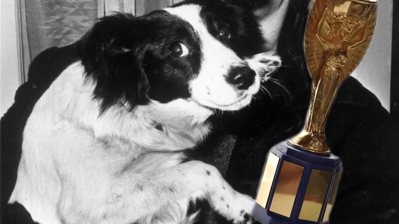 Confira os 5 cachorrinhos mais importantes da História!