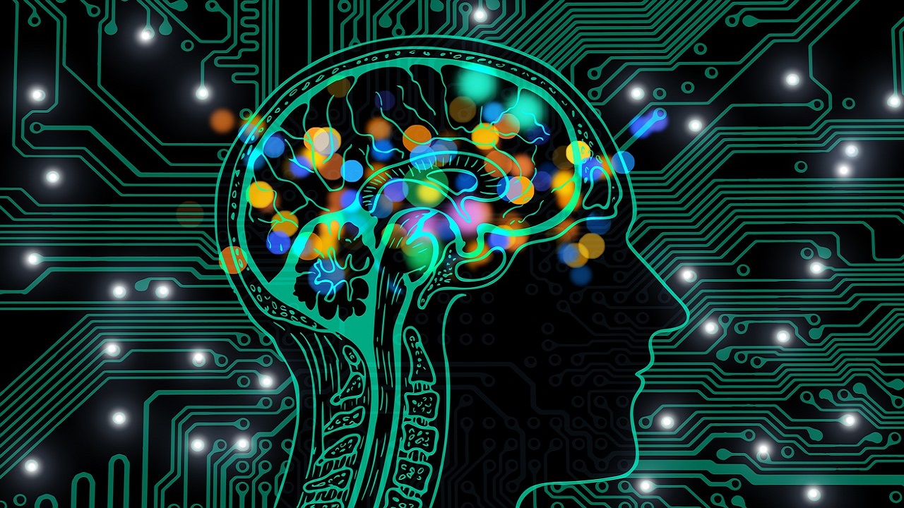 A tecnologia tem dificultado o nosso processo de memorização?