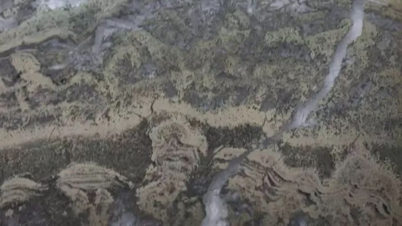 Geólogos encontram evidências mais antigas de impacto de meteorito na Terra