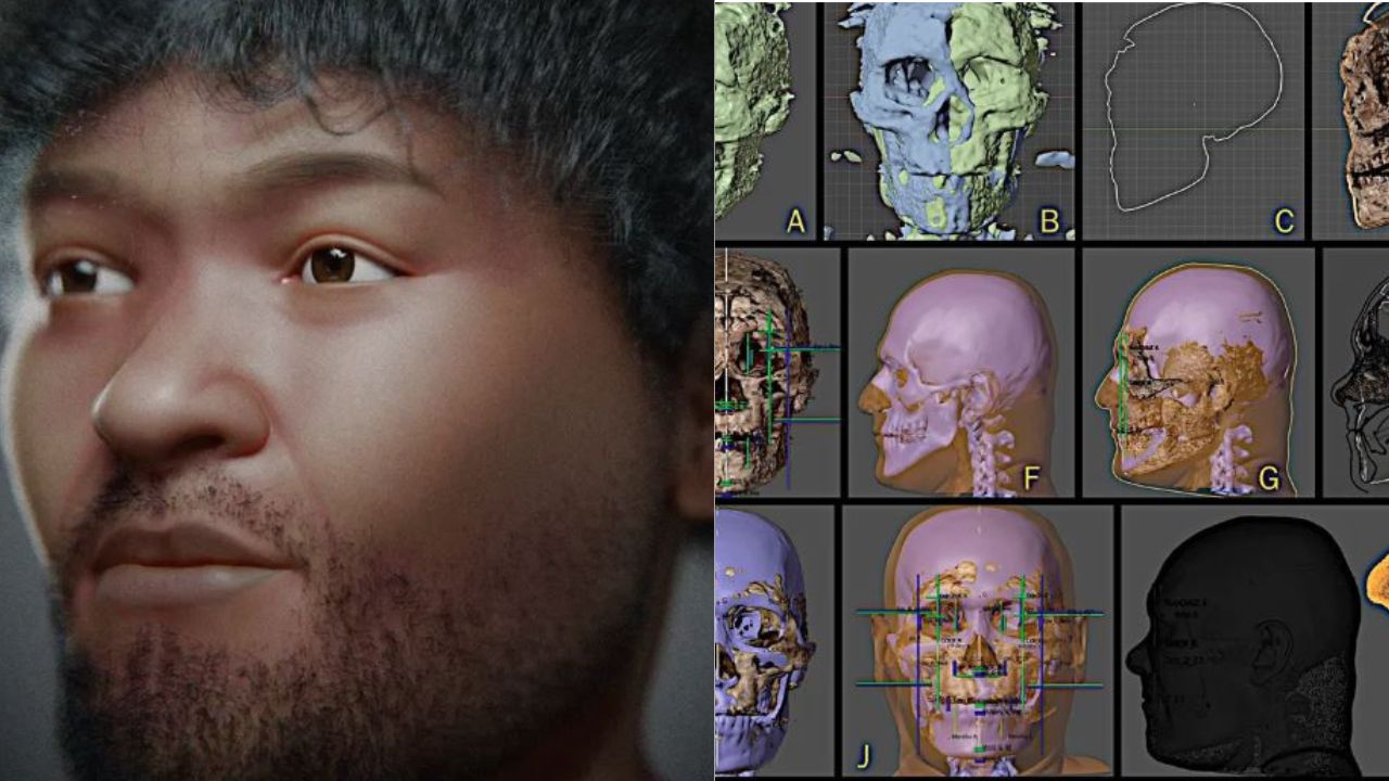 Homo sapiens mais antigo do Egito tem rosto reconstruído por brasileiros