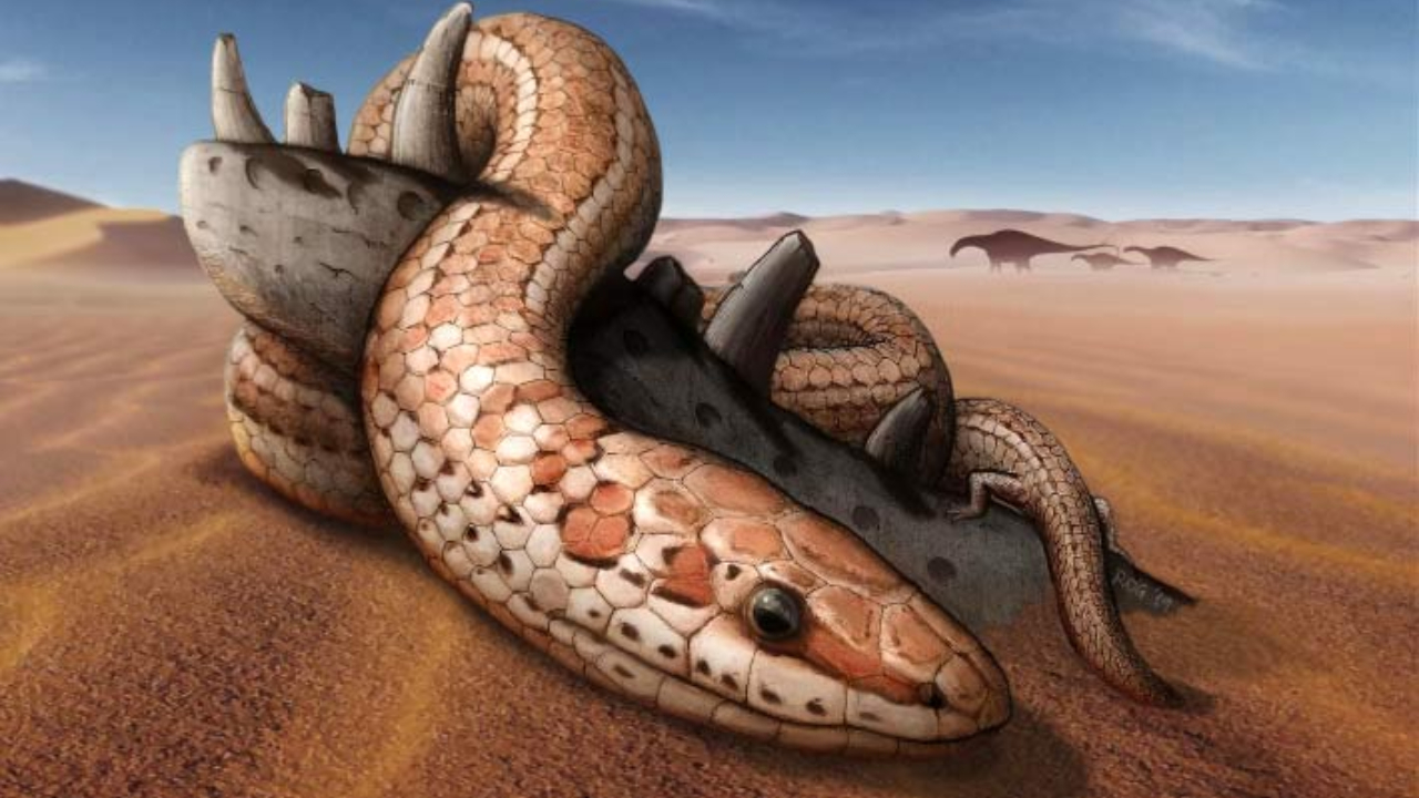 Arqueólogos encontram fóssil de cobra com patas traseiras