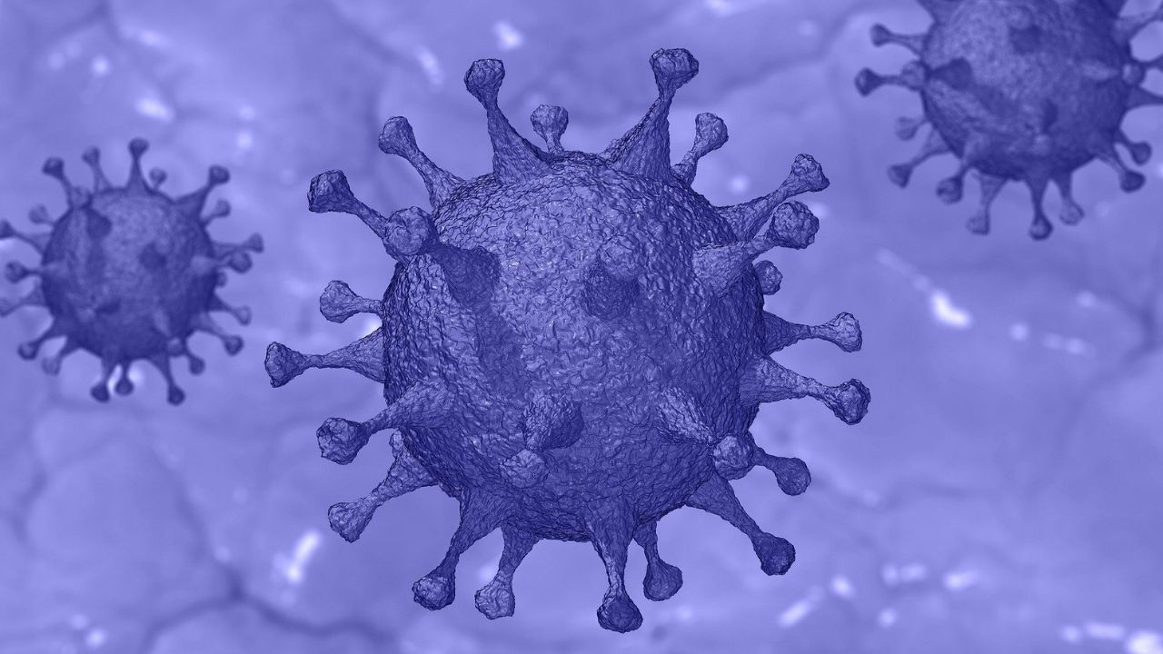 O que se sabe até o momento sobre a nova variante da Covid identificada na África do Sul