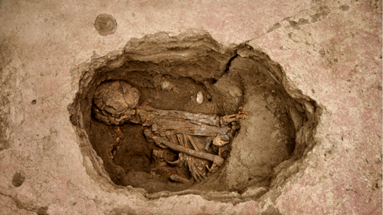 Análise genética da população de Çatalhöyük revela informações inéditas