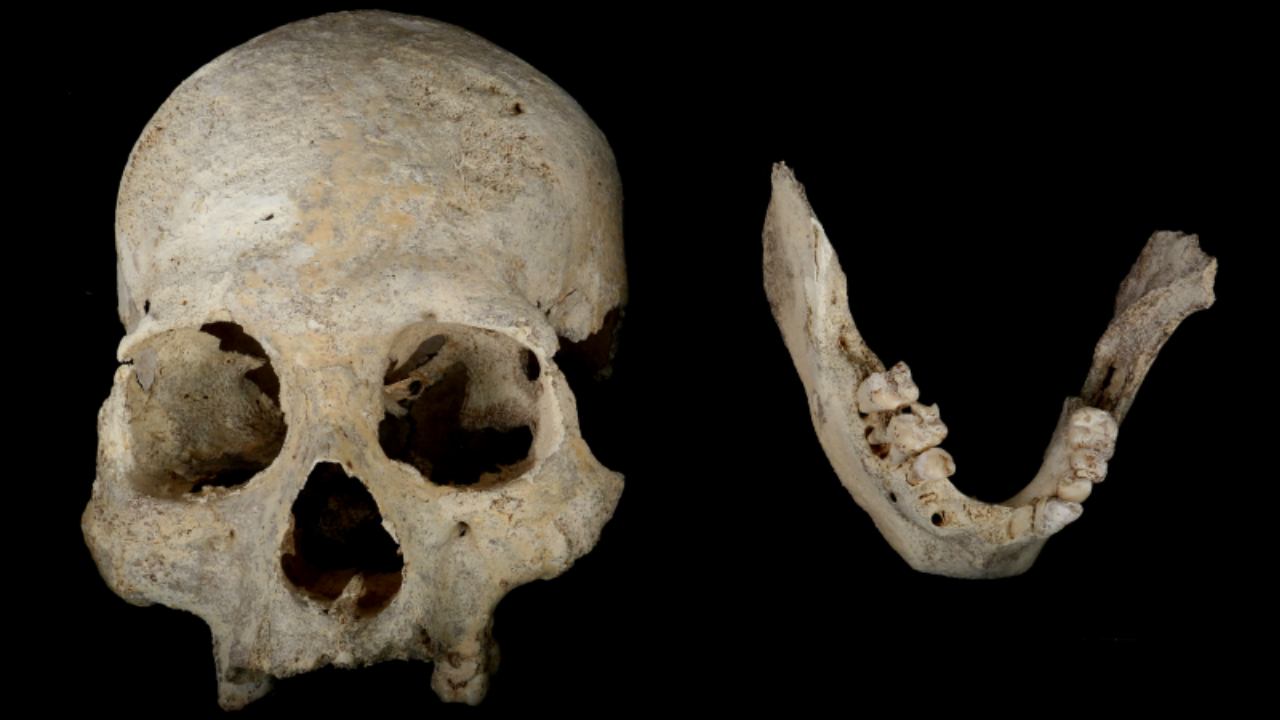 Crânios humanos de 13 mil anos indicam maior diversidade na América do Norte ancestral