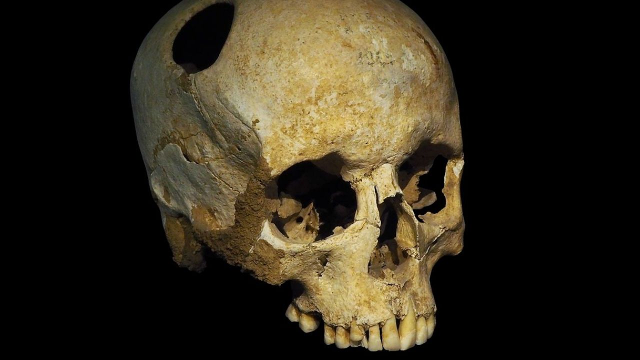Rosto de homem que viveu há 5 mil anos, no rio Grande do Sul, ganha reconstrução 3D