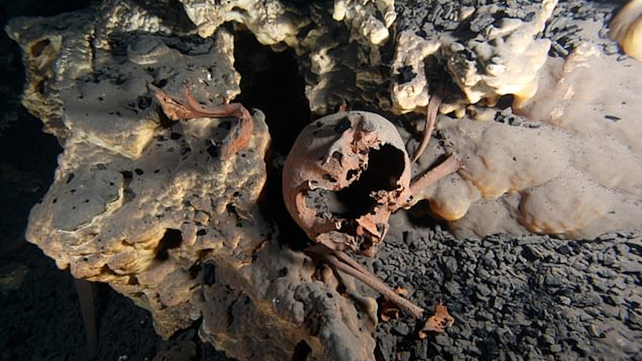 Análises em crânios de 13 mil anos revelam diversidade entre os primeiros habitantes da América do Norte