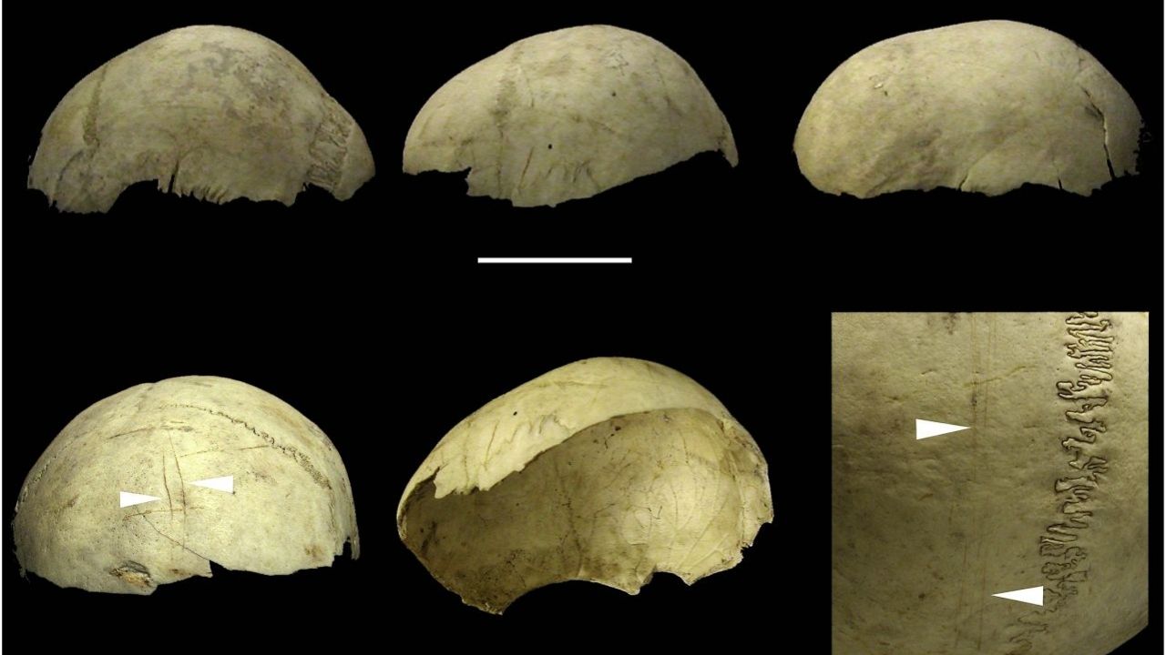 Crânios humanos da Idade do Bronze foram usados como canecas, afirmam cientistas