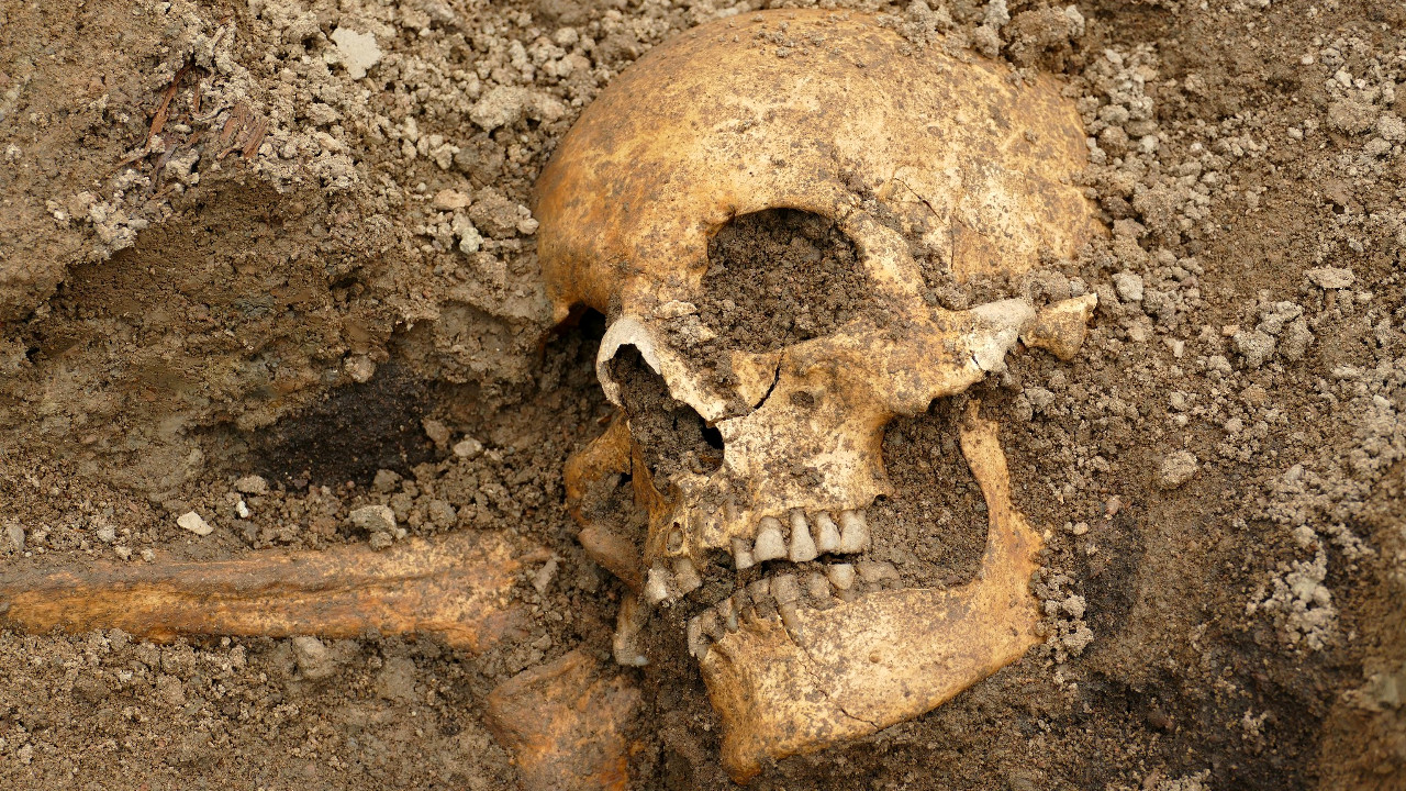 Barcos vikings usados em rituais funerários são encontrados na Suécia