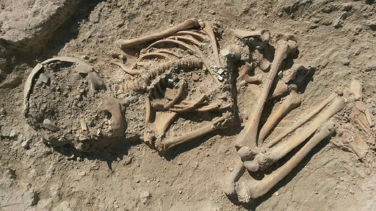 Morta há mais de 5 mil anos, esqueleto de criança encontrado na Turquia indica óbito misterioso