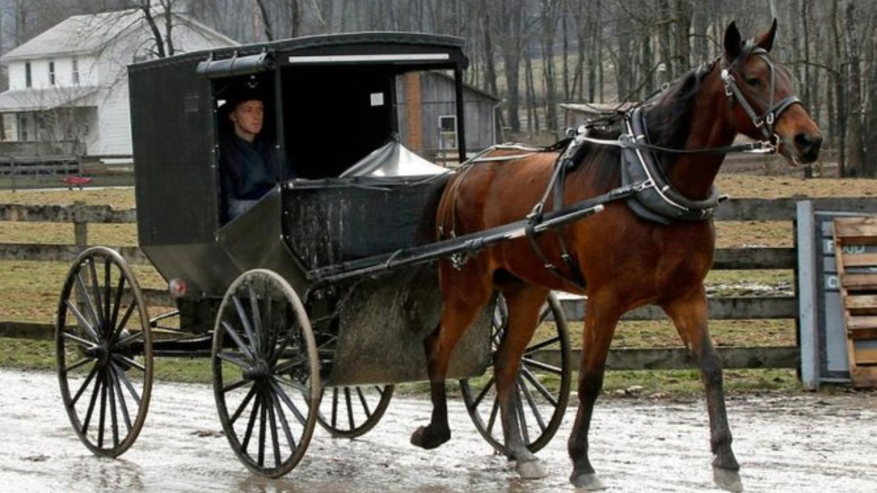 5 particularidades sobre os Amish, o grupo isolado do mundo