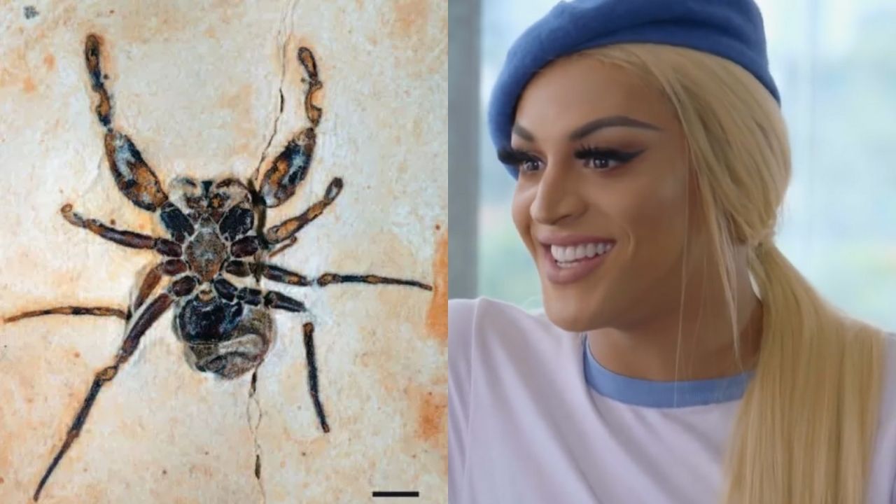 O que aconteceu com o fóssil que homenageia Pabllo Vittar?