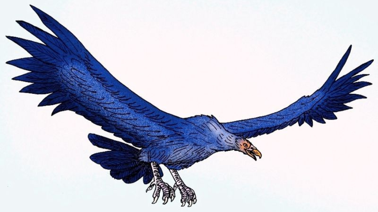 Argentavis magnificens: Como voava a maior ave alada que já existiu?
