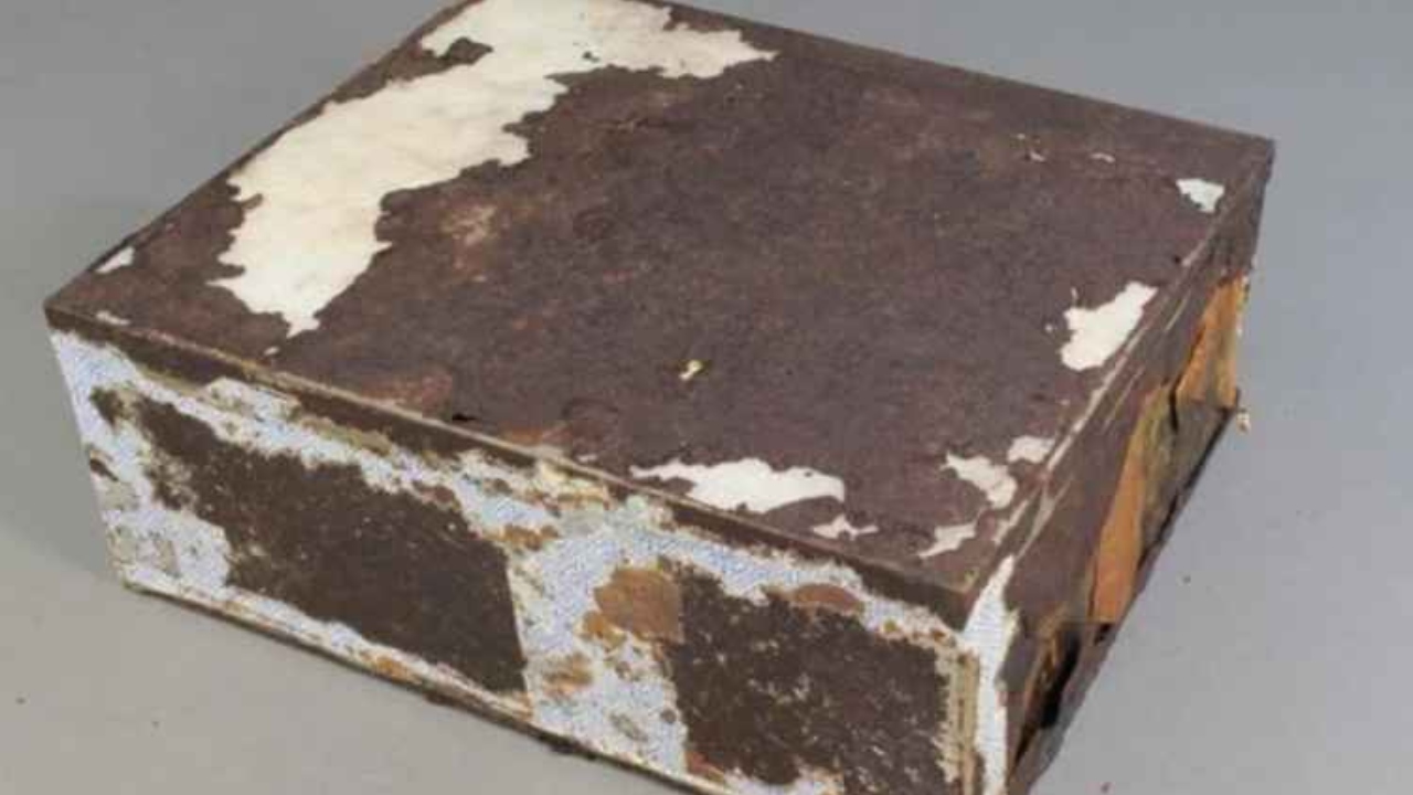 Descoberto em 2017 na Antártida: o bolo que permaneceu preservado mesmo após 106 anos