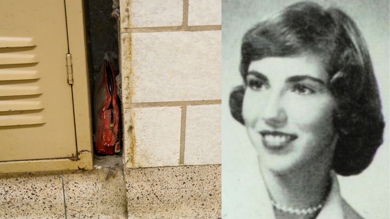 Congelada no tempo: A bolsa encontrada 62 anos depois em uma escola