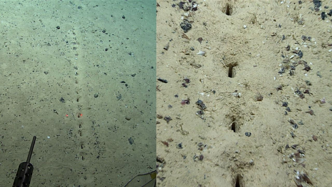 Enigmática ‘linha pontilhada’ no fundo do Atlântico é descoberta