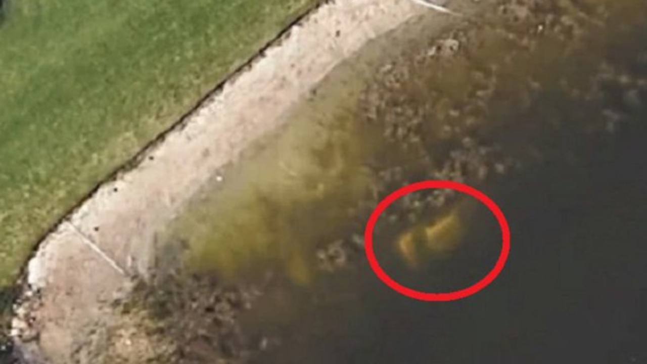 Mais de 20 anos depois: como o Google Earth desvendou o desaparecimento de um homem