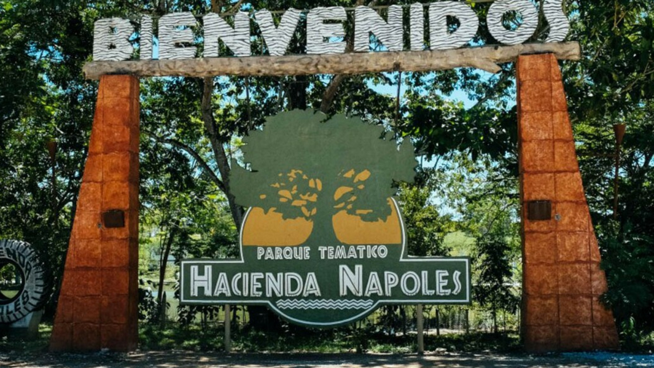 Zoológico particular: os ferozes hipopótamos de Escobar