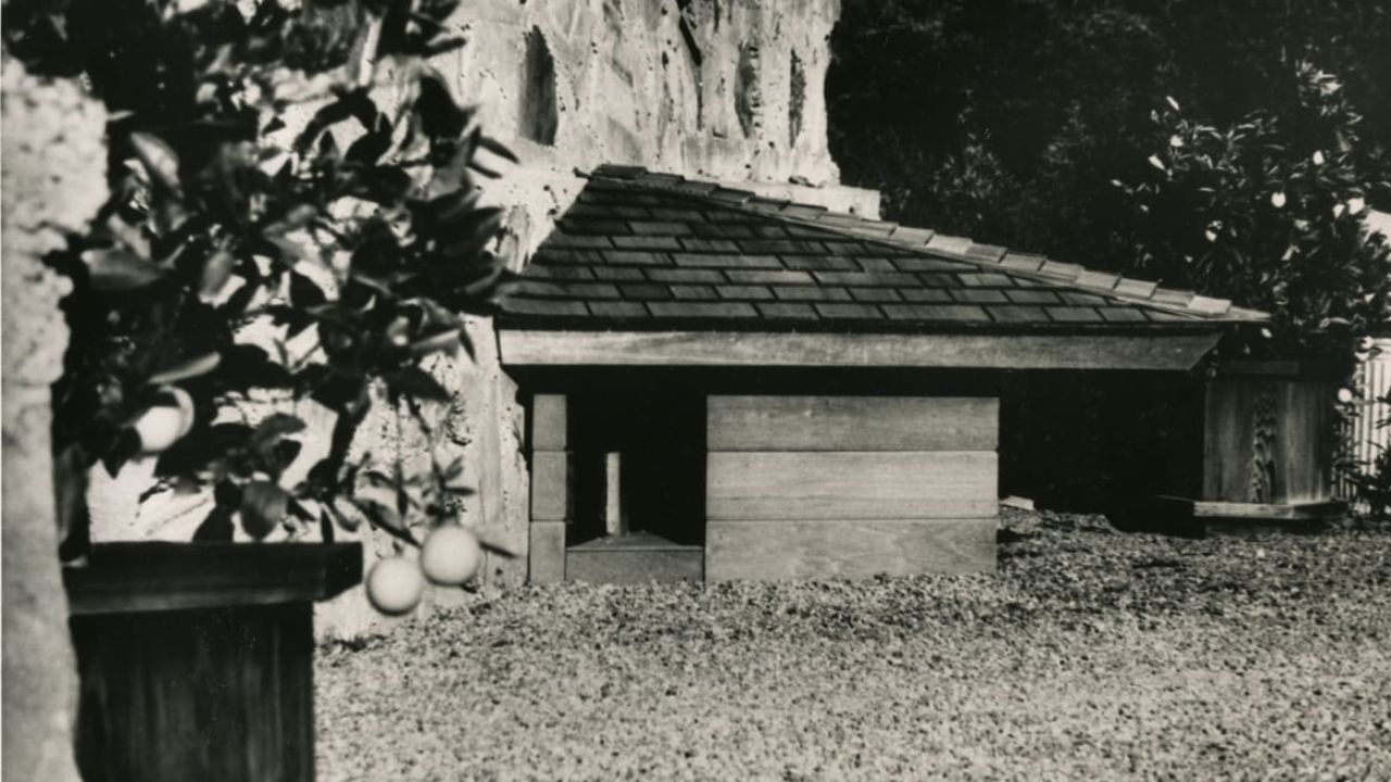 O renomado arquiteto que projetou uma casinha de cachorro