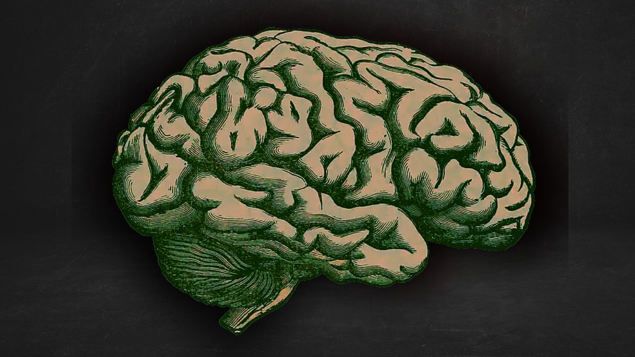 O experimento que quase desenvolveu um “cérebro zumbi”