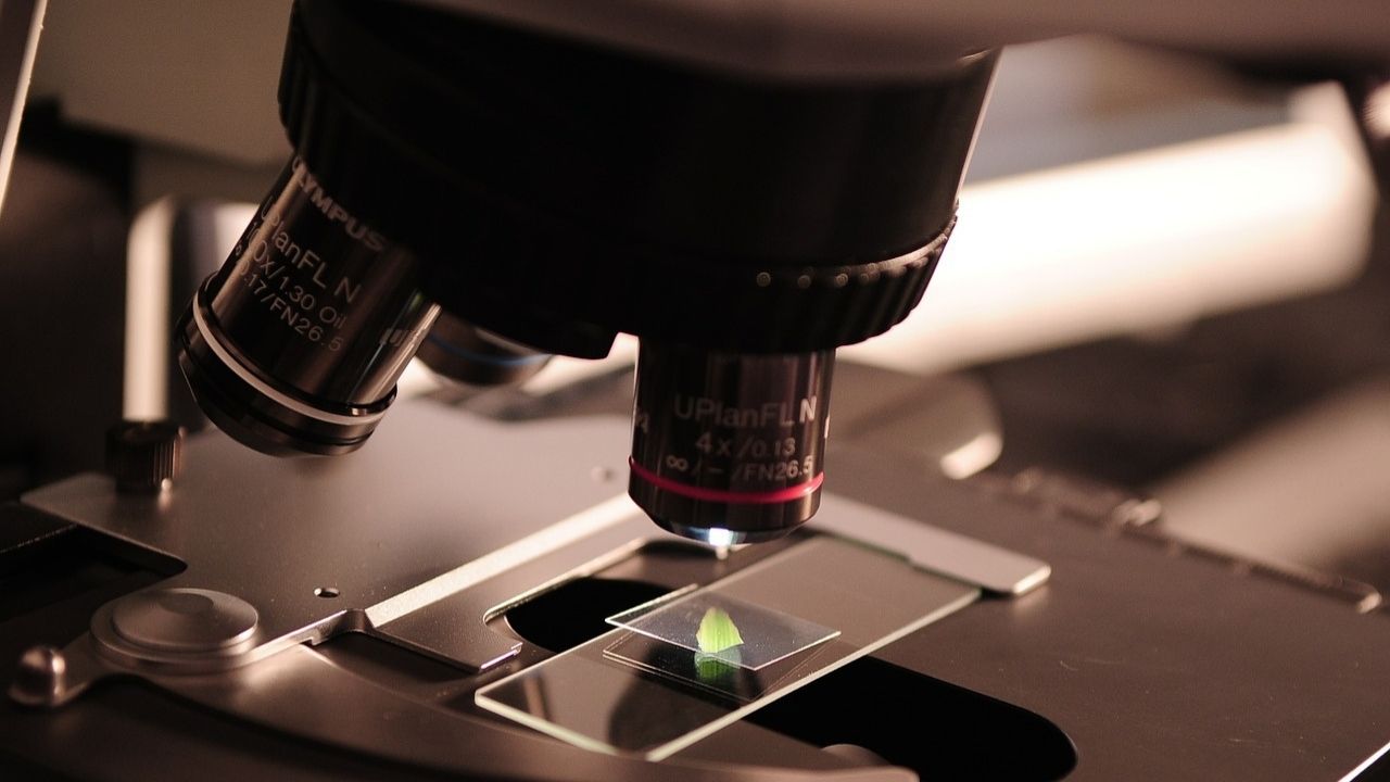 Inovações tecnológicas e conquistas históricas: A importância da Ciência brasileira
