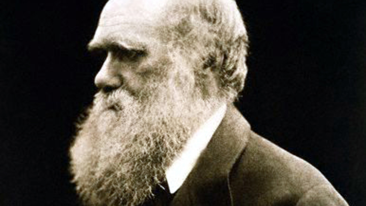 O dia terrível registrado em carta por Darwin
