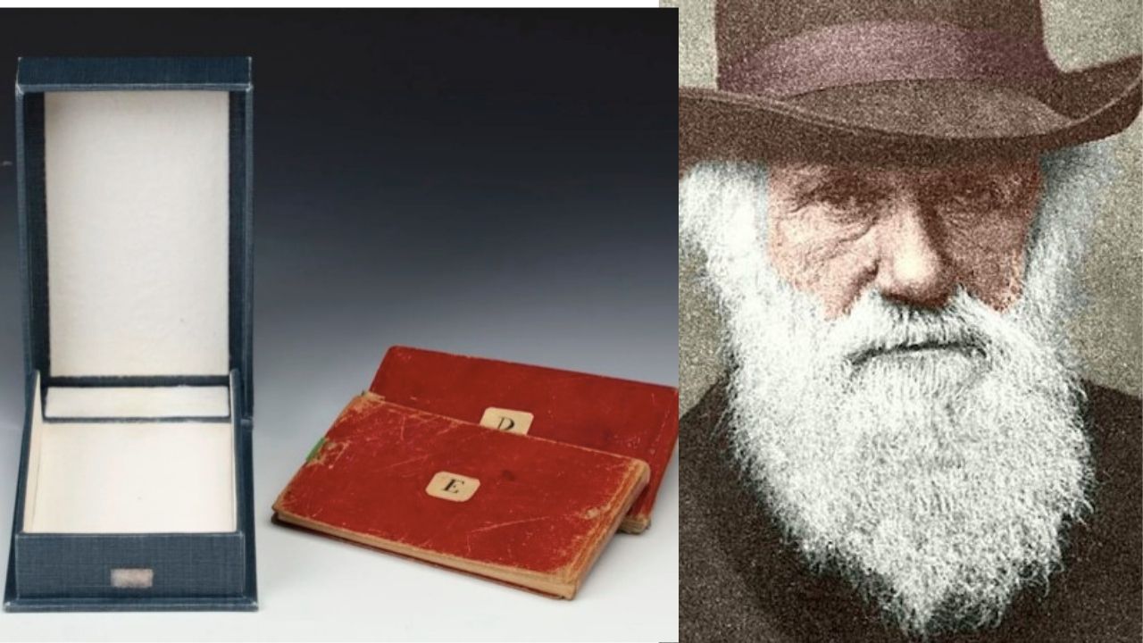 Cadernos da Transmutação: As anotações à mão de Charles Darwin que estão perdidas há 20 anos