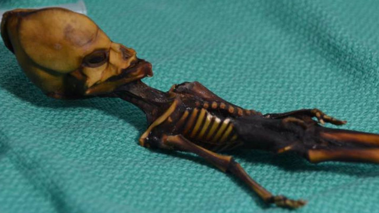 Com 15 cm e cabeça em formato oval: como foi desvendado o mistério da ‘múmia alien’?