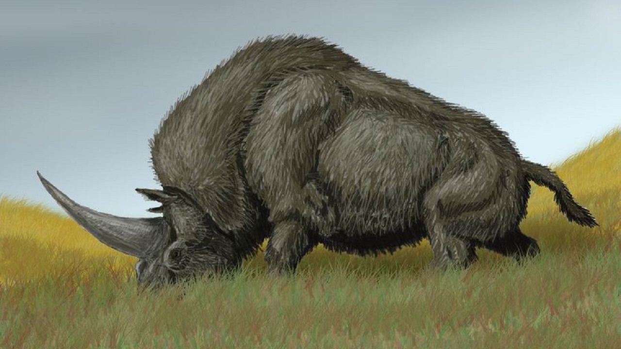 O que causou a extinção do animal que pode ter iniciado o mito dos unicórnios?