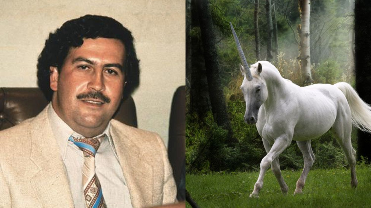 A lenda do unicórnio que Pablo Escobar teria encomendado para sua filha