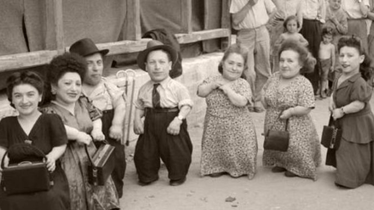 Segunda Guerra: O sofrimento da família Ovitz na mão dos soldados da SS