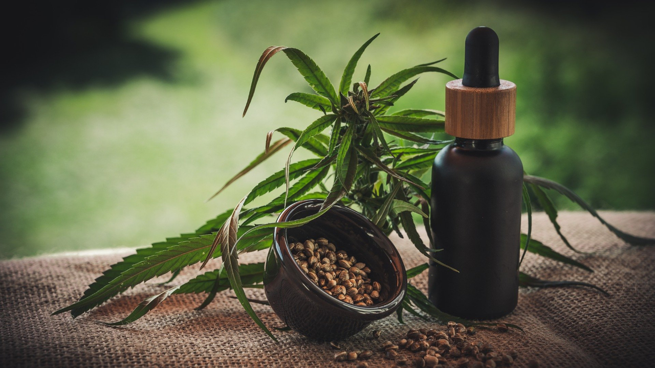 O uso da cannabis medicinal nos Jogos Olímpicos de Inverno