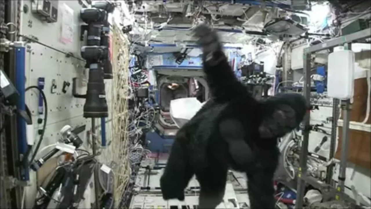 Scott Kelly: O astronauta que se fantasiou de gorila no espaço