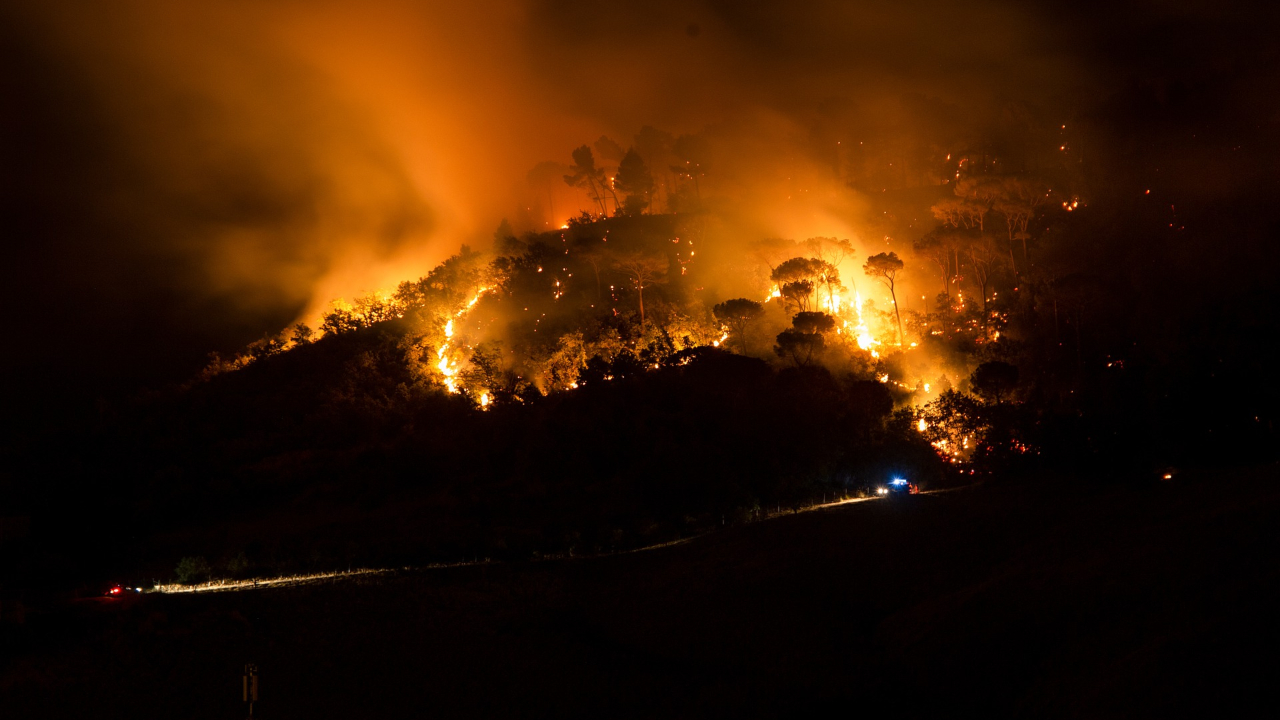 Das fogueiras paleolíticas aos incêndios florestais: Fogo, uma saga ancestral