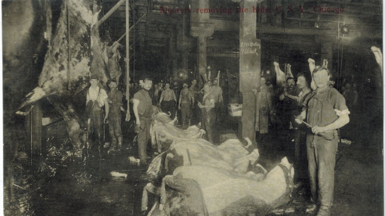 Pessoas em lata: Upton Sinclair, o homem que revelou 5 fatos sobre a indústria da carne dos EUA no século 20