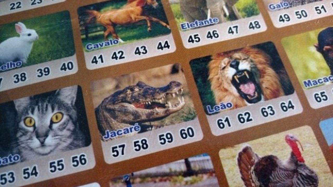 Como surgiu o jogo do bicho?