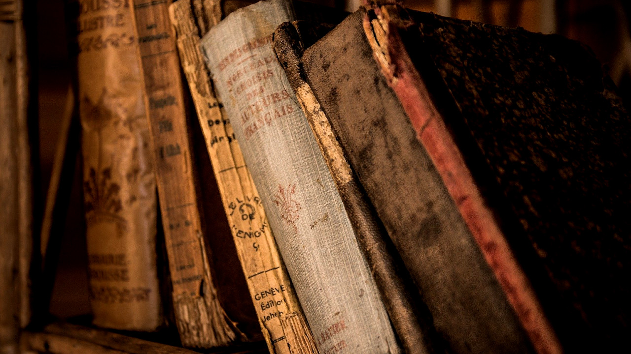 Incontrolável desejo: a peculiar saga dos ladrões de livros