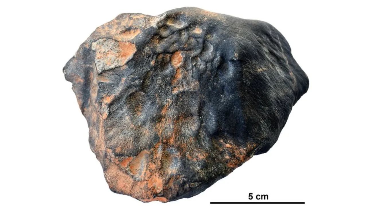 Meteorito Santa Filomena: A rocha espacial de 4,5 bilhões de anos que caiu em Pernambuco