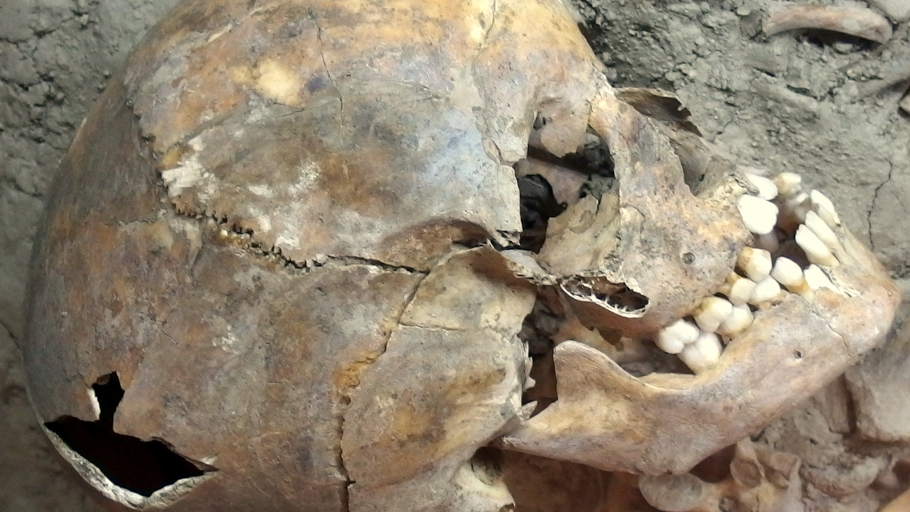 Necrópole de Varna: o suntuoso cemitério encontrado por acaso na Bulgária
