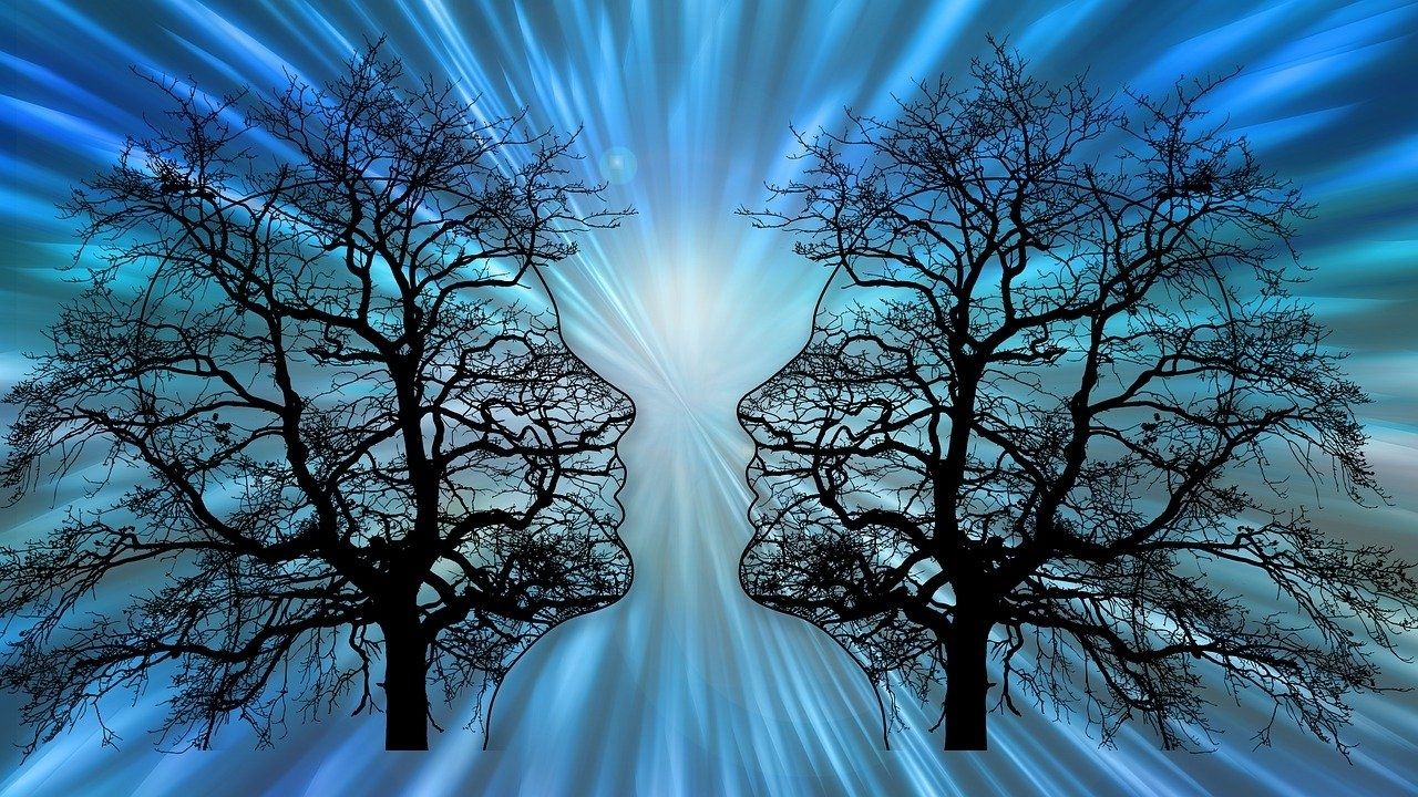 Neuroembriologia: de onde começa a nossa história de vida