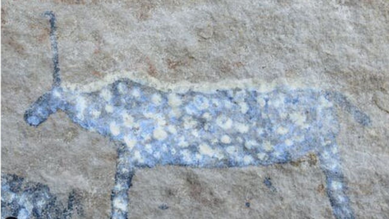 O que são os ‘unicórnios’ na arte rupestre da África do Sul?