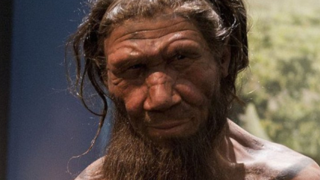 Ao sair da África, Homo Sapiens fez sexo com pelo menos cinco espécies diferentes