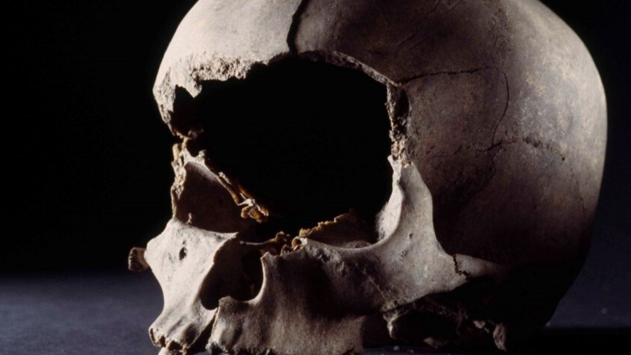 Crânios fossilizados indicam a realização de rituais vikings macabros