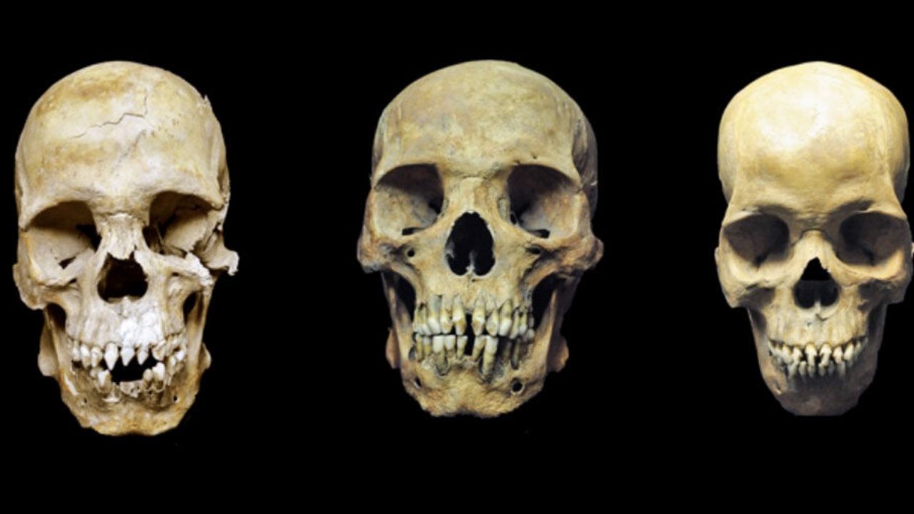 Rastros da escravidão: esqueletos africanos de 500 anos são identificados por arqueólogos
