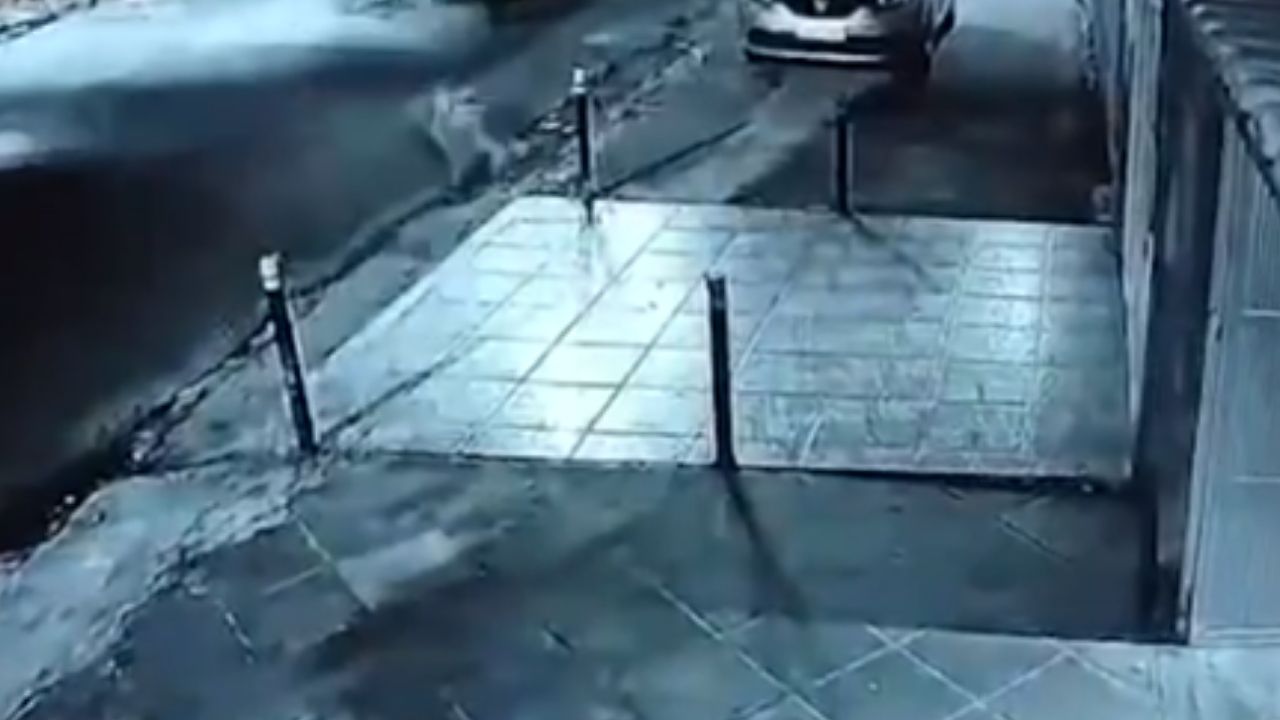 Idosa presa a cinto de segurança é arrastada em asfalto durante assalto