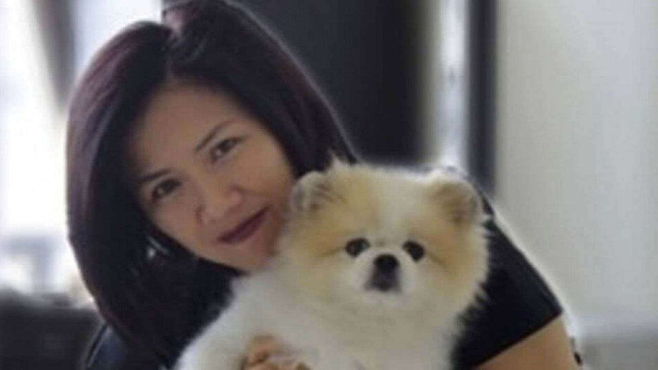 Cachorro infectado por coronavírus morre em Hong Kong, na China